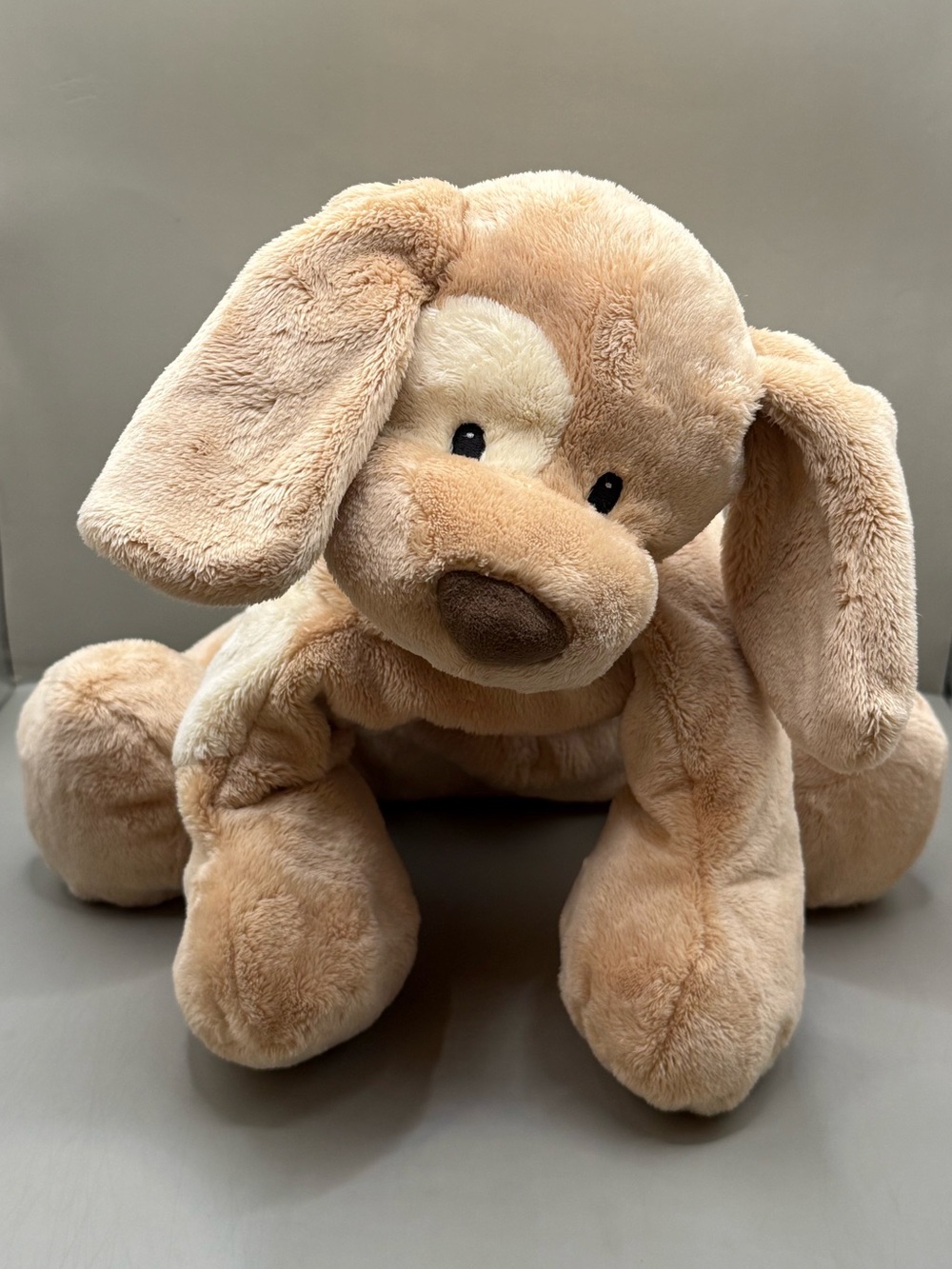 Baby GUND Spunky Tan Puppy Dog Plush Stuffed Animal Lovey #58381